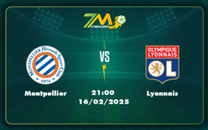 Montpellier Lyonnais 16 02 Ligue 1 - Nhận Định Liverpool Vs Wolves Chủ Nhà Khẳng Định Sức Mạnh Wolves Nỗ Lực Thoát Hiểm