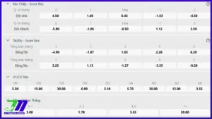 Những Loại Cược Score Box Phổ Biến Nhất Trên Thị Trường