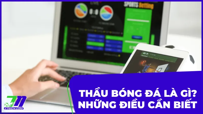 Thầu Bóng Đá